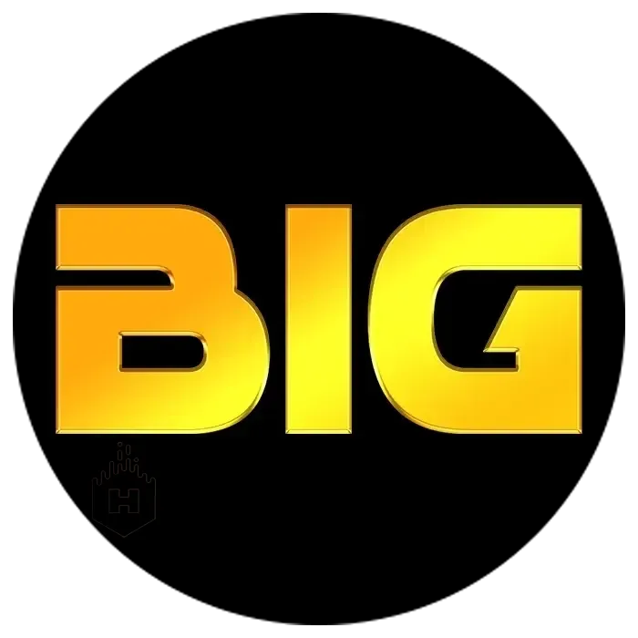 BIGHOKI - Pertarungan MOBA yang Seru dan Menegangkan